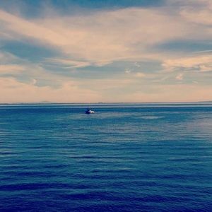 Meet your Posher, Jada